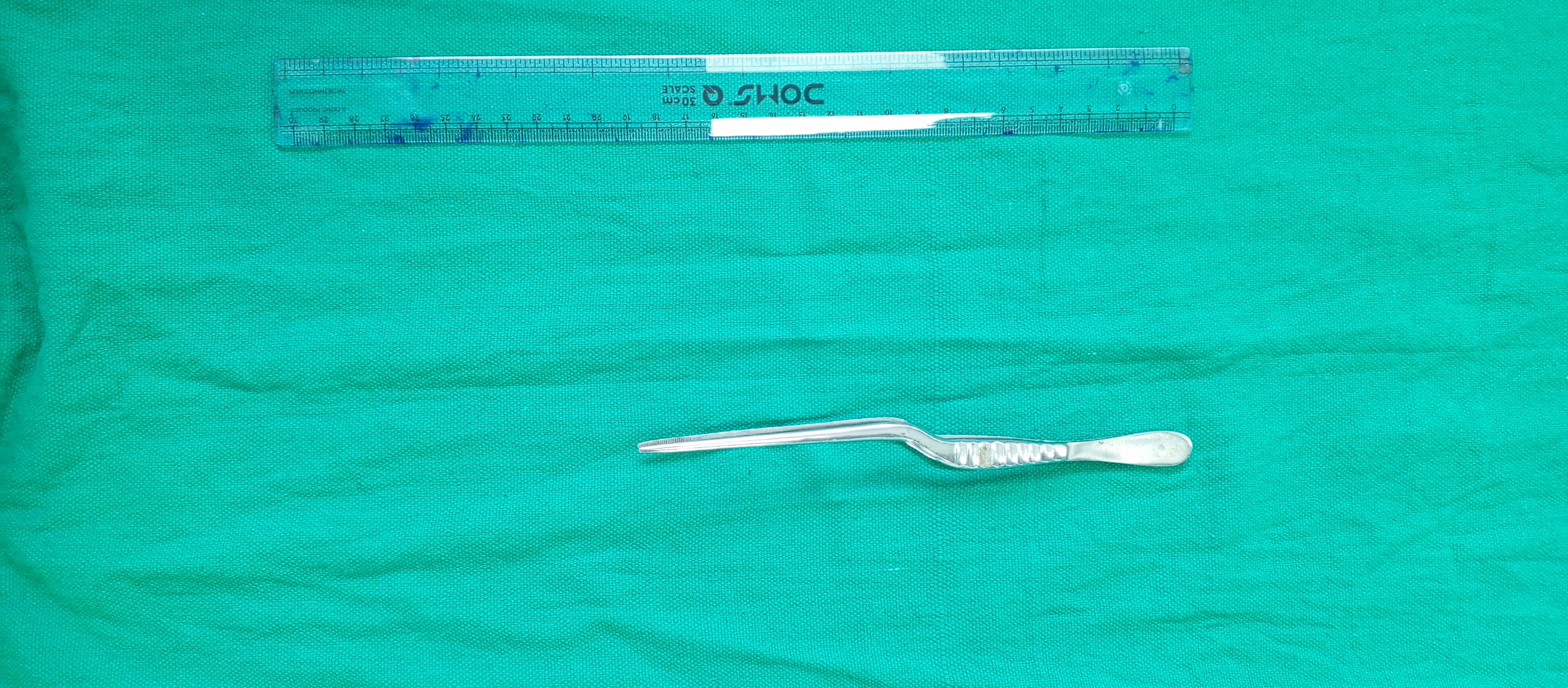 Dissecting forcep Bayonet shaped.
